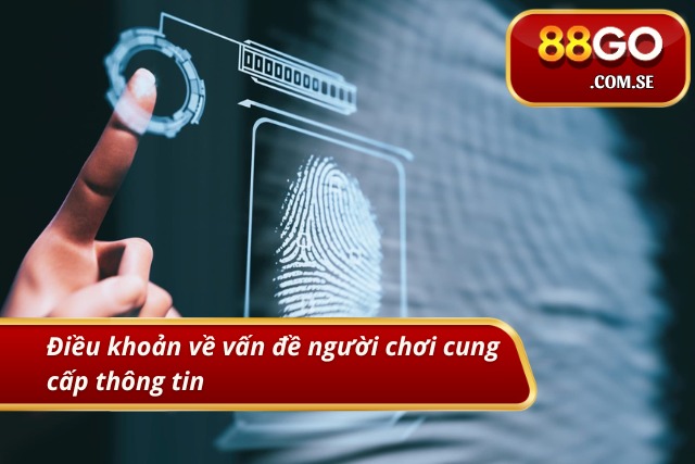 Chính sách về vấn đề cung cấp thông tin của người chơi