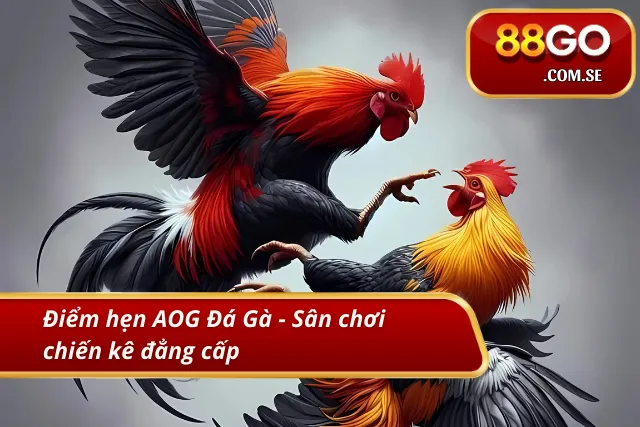 AOG Đá gà - Điểm hẹn của người yêu chiến kê