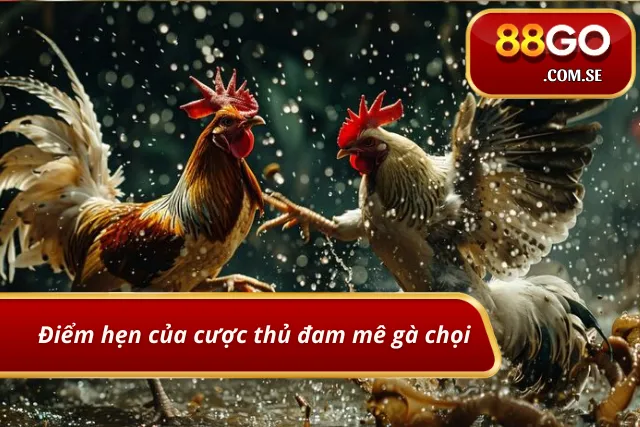 Ws168 Đá gà - Điểm hẹn của người yêu chọi gà